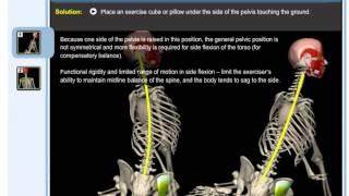 Yoga Anatomy | Yoga Therapy