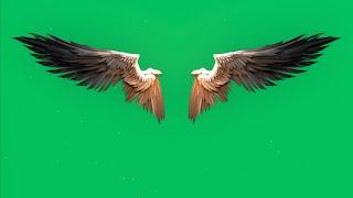 Green Screen Lucifer Angel Wings Demon Wings | 4K | Global Kreators