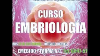 Cursos de Medicina EMEBIOQ Y FARMA A.C.