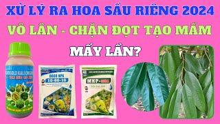 Hiểu về vô lân - chặn đọt tạo mầm | Thông tin cần cho xử lý ra hoa sầu riêng thuận vụ năm 2024