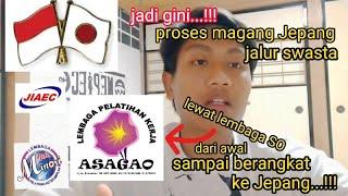 bahas tuntas | magang Jepang jalur swasta | LPK ASAGAO#magangjepang