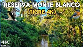 【4K】Descubrí la BELLEZA de la Reserva MONTE BLANCO - Tigre, Buenos Aires  | Paseo Delta Terra