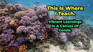 My Classroom: Tiny Miracles Dance On A Coral Canvas