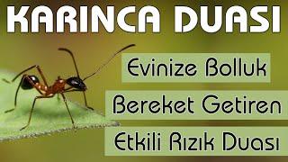 Karınca duası dinle Bereket Rızık duası dinle 99 Kere ( Evinize Bol Rızık için KARINCA DUASI )