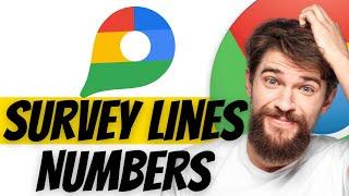 How To Find Survey Lines And Numbers In Google Map