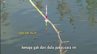 cara memilih spot ikan nila ikuti cara saya 100% di jamin berhasil