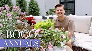 BOGO Annuals | Gardener in Love