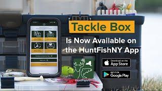 Introducing the Tackle Box - A New Feature of the HuntFishNY App