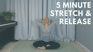 5 Minute Reset Upper Body Stretch & Reset | Release Shoulders, Neck and Move the Spine