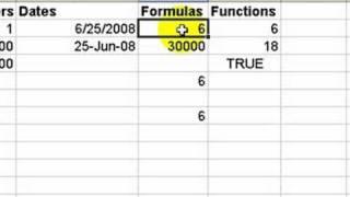 The Basics for Excel 2003 - Data Entry