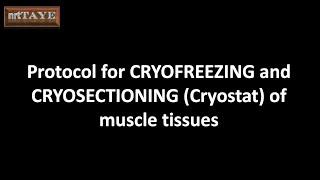 Cryofreezing and Cryosectioning (cryostat) of muscle tissues