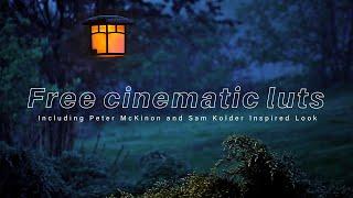 Free cinematic luts ( Including Peter McKinon and Sam Kolder Inspired Look )