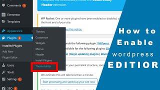 How to enable theme editor in WordPress Appearance || theme editor not showing in WordPress problem