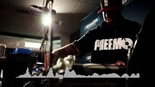 Free DJ Premier Type Beat 90s Old School Boom Bap