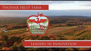 Elly Vaughan & Phoenix Fruit Farm | Leaders in Innovation