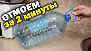 Простой способ отмыть любую бутыль от зеленого налета внутри!