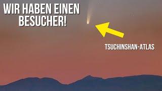 Ein glühender Gast: Komet heller als Venus und Sterne!