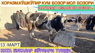 ХОРАЗМ.КЎШКЎПИР КУМ БОЗОР МОЛ БОЗОРИ КАТА БУКАЛАР ЗЎРЛАРИ ТУШДИ НАРХЛВР ТАШАДИ БУ БОЗОР 13-март