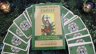 Nature Spirit Tarot | First Impressions Walkthrough