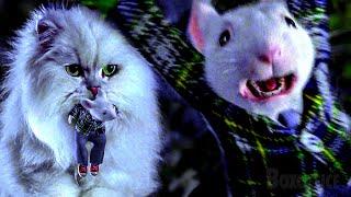 Snowbell saves Stuart Little