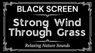 Strong Wind Through Grass Sounds for 10 Hours | Relaxing Nature Sounds | Black Screen