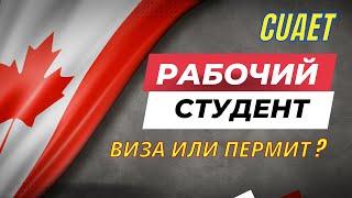 Въезд в Канаду по разрешению на работу, учебу,  визе туриста и CUAET.