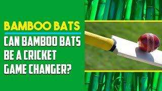 Can Bamboo Bats Replace Willow Bats? Can Bamboo Bats Be A Cricket Game Changer?