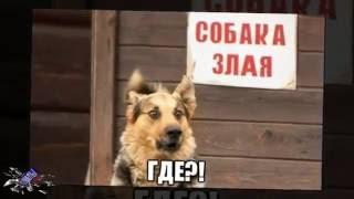 Лучшие приколы,смешные фото,funny images,2016 *9