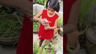 A little girl making flowers bokeh for Mama
