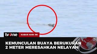 Video Amatir Buaya di Laut Resahkan Warga di Ambon | Kabar Hari Ini tvOne