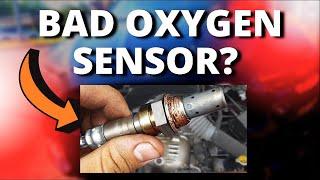 Top Symptoms And Causes Of A Bad Oxygen Sensor