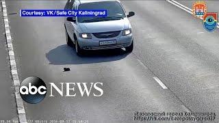 Kitten Escapes Being Crushed on Highway