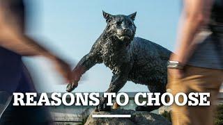 Top Reasons to Choose UNH