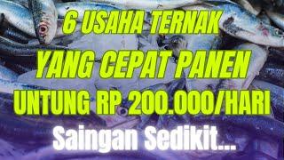 6 USAHA TERNAK YANG CEPAT PANEN UNTUNG 200 RIBU SEHARI YANG MENJANJIKAN! Peluang Usaha Peternakan