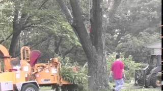 Professional Tree Cutting and Cleanup - Stoltzfus Tree Service