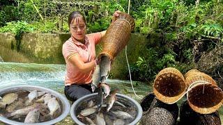 Trap stream fish with bamboo basket - Harvest fish during flood season