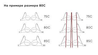 ПРИНЦИП ПОДБОРА РАЗМЕРА БЮСТГАЛЬТЕРА ФЛОРАНЖ +996772344070