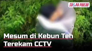 Viral! Dua Sejoli Mesum di Kebun Teh Karanganyar, Terekam Sedang Asyik Ciuman