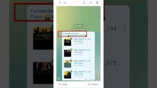 How To Remove Telegram Forward Message #telegram #short