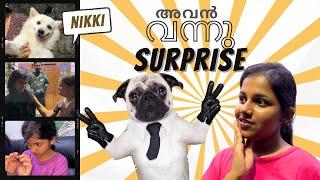 രാത്രി ഞങ്ങൾക്ക് കിട്ടിയ Surprise | അവർ  വീണ്ടും ഞങ്ങളുടെ അടുത്തേക്ക്