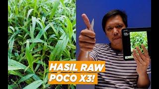 MEMAKSIMALKAN KAMERA POCO X3: RAW-nya MANTAP!