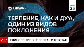 Вопрос 217. Терпение, как и ду'а, – один из видов поклонения. Единобожие в вопросах и ответах