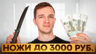 ЛУЧШИЕ НОЖИ до 3000 рублей