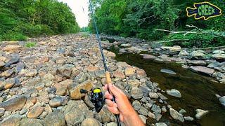 DRIED UP Creek has BIG Surprise!