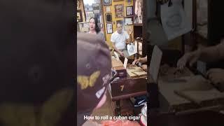 how to roll an authentic cuban cigar #howtoguides #cubancigar #shorts