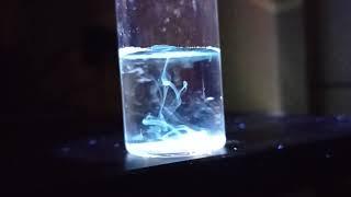 Quantum dots in water, blue fluorescence