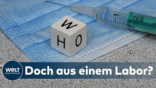 UNTERSUCHUNG DES CORONA-URSPRUNG: Die WHO beklagt Einmischung der Politik