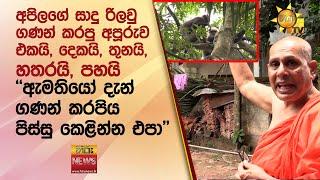 අපිලගේ සාදු රිලවු ගණන් කරපු අපූරුව ''ඇමතියෝ දැන් ගණන් කරපිය...පිස්සු කෙළින්න එපා'' - Hiru News