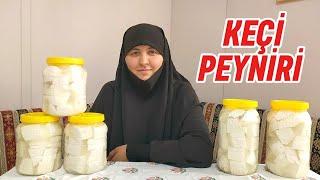 SİPARİŞLER BAŞLADI  SALAMURA KEÇİ PEYNİRİ #keçi #peynir #halepkeçisi #köyhayatı