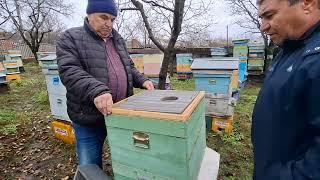 720.Ne pregatim de intalnirea apicultorilor. In stupina la nea Vasile Husac.